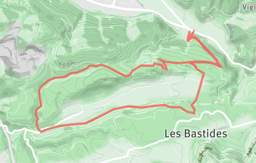 La Ronde des Vignes
