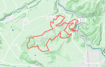 Trail du Neyrand - 24km
