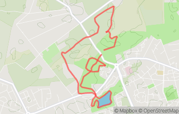 La Course du Petit Prince - 7km