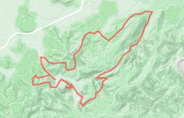 Trail de Fontfroide - La Narbonnaise