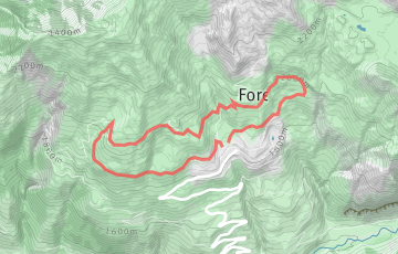 Le Trail Étoilé d'Orcières - Trail des Forests