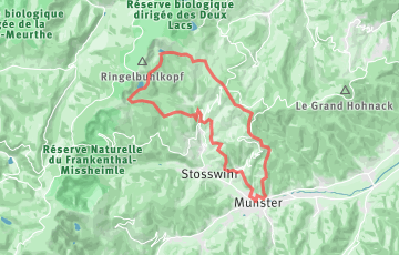 Munster Trail - 30km
