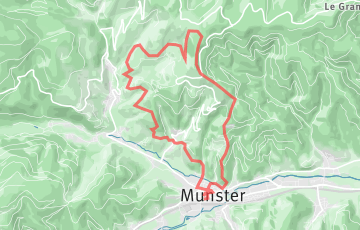 Munster Trail - 18km
