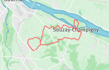 Les Foulees du Saumur-Champigny - 17km