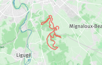 Trail du Miosson