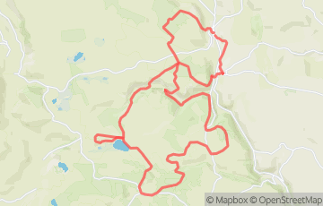 Trail des Rois - 40km