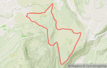 Trail du Mont d'Or - Infernale du Mont Ramey