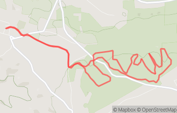 TRAIL NOCTURNE EN SAVES - LA SALAMANDRE