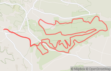 TRAIL NOCTURNE EN SAVES - LA CASTERAS