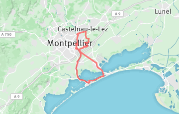 Marathon de Montpellier