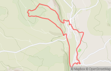 Trail des Rois - 10km