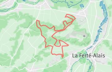 Course du Sanglier - Sanglier