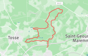 Trail de Semisens - 20km