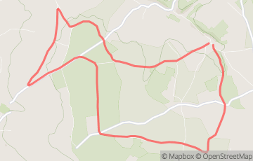 Course à pied matinale