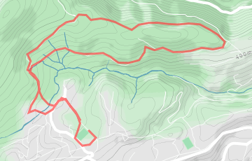 Trail de la Pierre Plantée - La Ronde des Bois