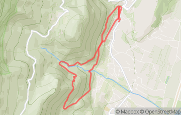 Course des cascades de l'Alloix - Trail vert express de l' Enversin