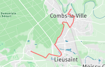 Marathon et 10km de Sénart