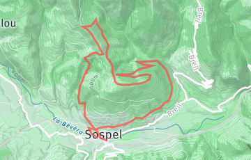 Trail des Alpes Maritimes - 13km