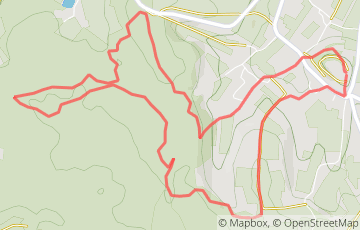 L'Hivernale de la Grande Champagne - 8km