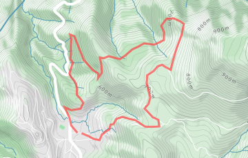 Trail du Soleil Levens - Parcours de la Loutre
