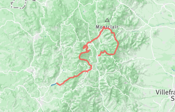 Le Trail Beaujolais Vert - 45km