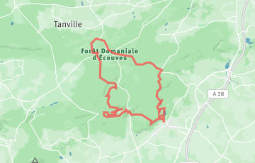 Trail d'Ecouves et du Pays d'Alençon - 35km