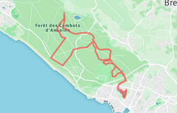 Trail Sable et Forêt - 25km