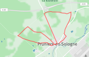 La Prunelloise - 10km