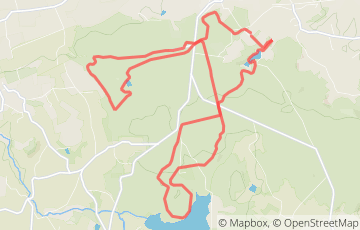 Trail Forêt de Saint Sever - 20km