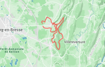 Jasseronnai'se Trail - La Jasseronnai'se