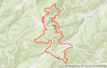 Trail des Sapins - La Louvetrouille