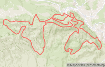 Trail de Mimet - Elite