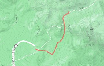 Tushars Mountain Runs - 70km