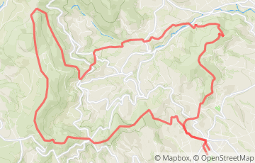 Beaujolais Runners Trail in Fleurie - Trail Mathusalem