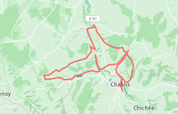 Marathon de Chablis - 42.2km
