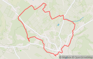 Trail des vendanges 2023 - Decouverte