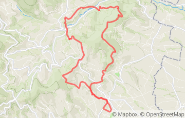 Beaujolais Runners Trail in Fleurie - Trail Jeroboam