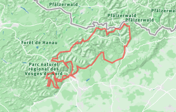 Les Couses Natures de Niederbronn - L'UTDS