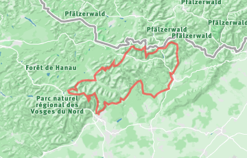 Les Couses Natures de Niederbronn - Le Défi des Seigneurs