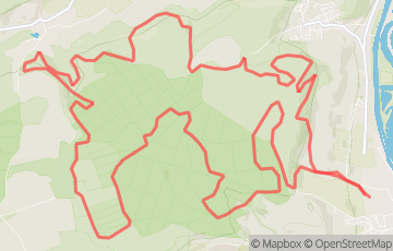 Trail de la Croix des Carmes - TCC