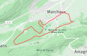 Trail Marchaux - 9.5km