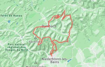 Les Couses Natures de Niederbronn - Le Grand Défi des Vosges