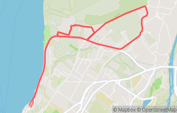 Course des Rives - 10km