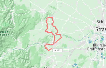 Marathon du Vignoble d'Alsace
