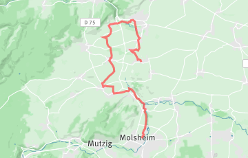 Marathon du Vignoble d'Alsace