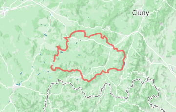 Trail du Haut Clunysois - THC - La Camille Forest