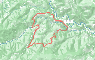 Trail des Châtaigniers - 20km