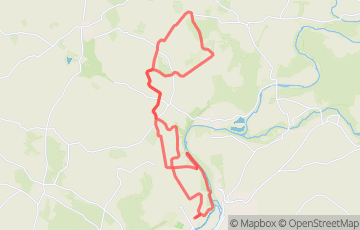 Trail du Phénix - Phénix déploie ses Ailes
