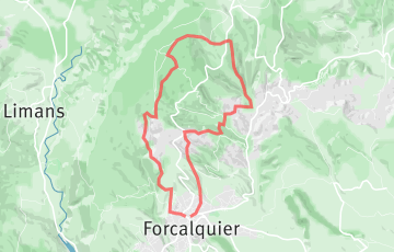 Trail de Haute Provence - Trail des Mourres