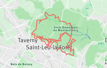 Trail des 40 Bosses - 38km